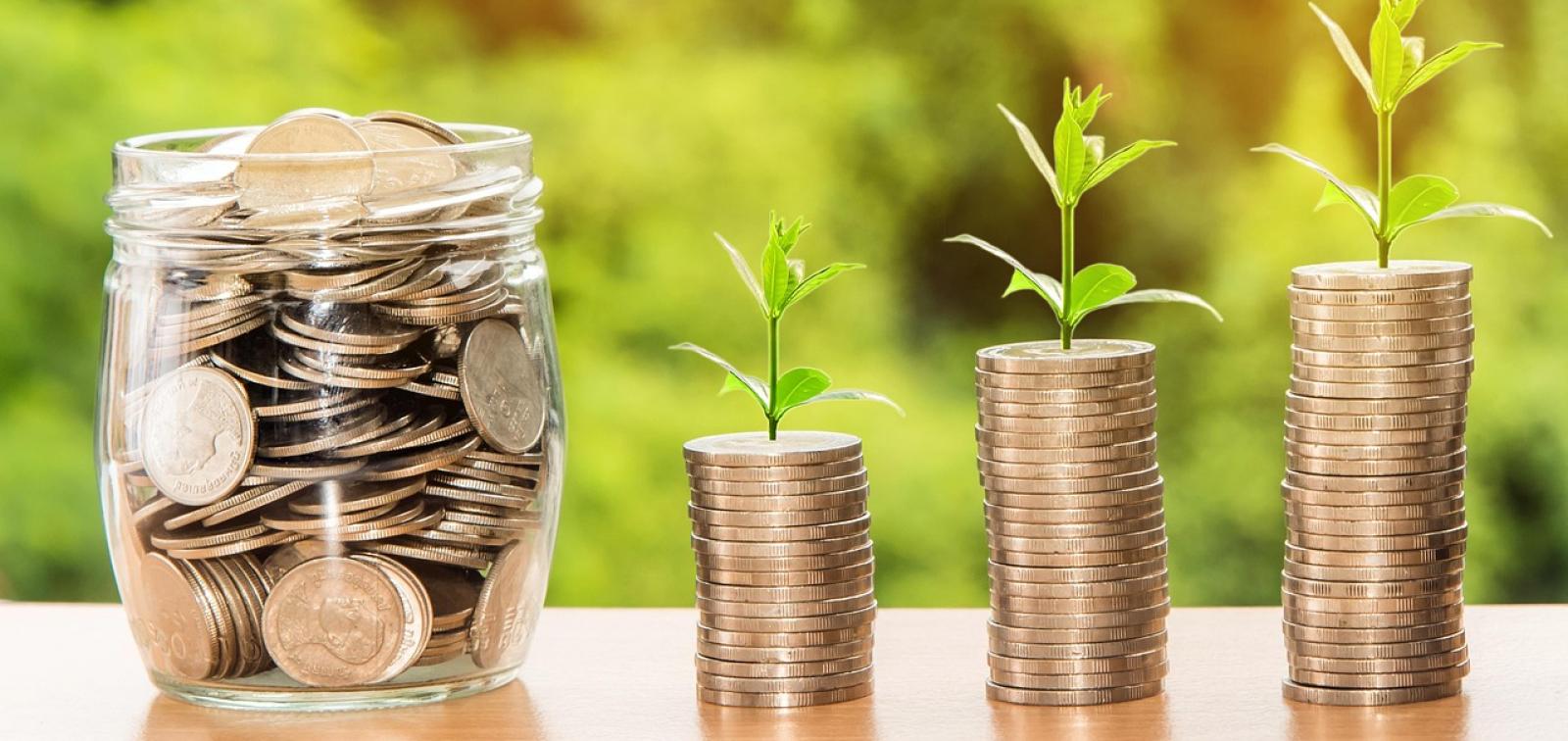 5 Essential Budgeting Tips for Beginners